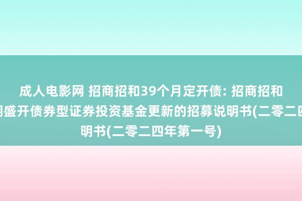 成人电影网 招商招和39个月定开债: 招商招和39个月按期盛开债券型证券投资基金更新的招募说明书(二零二四年第一号)