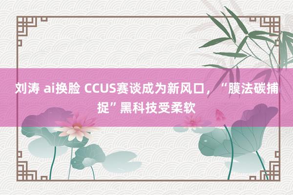 刘涛 ai换脸 CCUS赛谈成为新风口，“膜法碳捕捉”黑科技受柔软