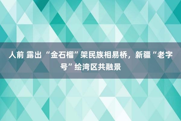 人前 露出 “金石榴”架民族相易桥，新疆“老字号”绘湾区共融景