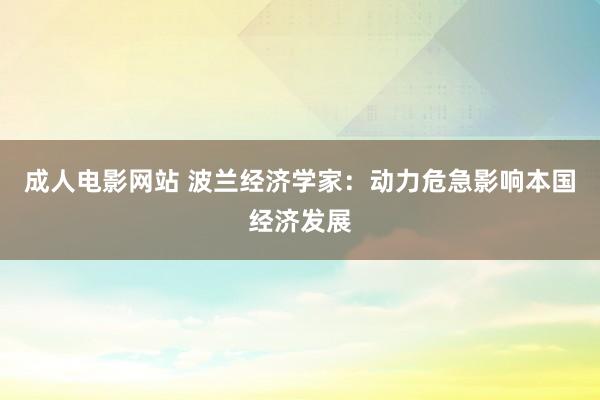 成人电影网站 波兰经济学家：动力危急影响本国经济发展