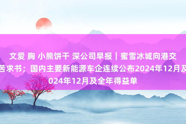 文爱 胸 小熊饼干 深公司早报｜蜜雪冰城向港交所提交上市苦求书；国内主要新能源车企连续公布2024年12月及全年得益单