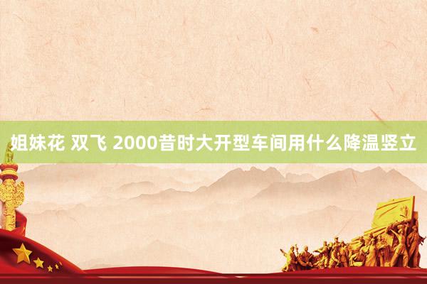 姐妹花 双飞 2000昔时大开型车间用什么降温竖立