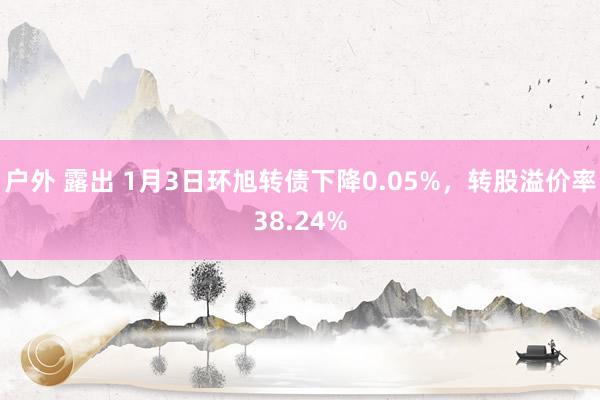 户外 露出 1月3日环旭转债下降0.05%，转股溢价率38.24%