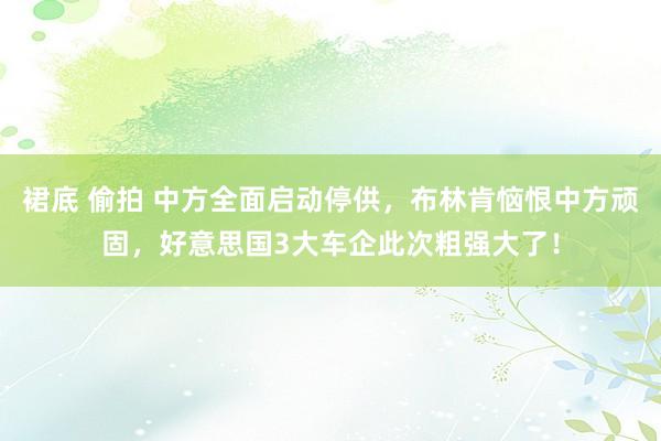 裙底 偷拍 中方全面启动停供，布林肯恼恨中方顽固，好意思国3大车企此次粗强大了！