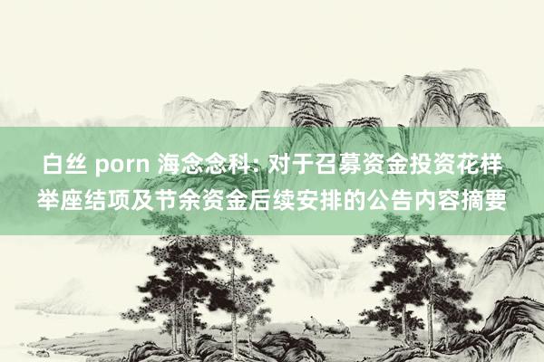 白丝 porn 海念念科: 对于召募资金投资花样举座结项及节余资金后续安排的公告内容摘要