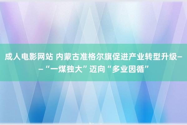 成人电影网站 内蒙古准格尔旗促进产业转型升级——“一煤独大”迈向“多业因循”