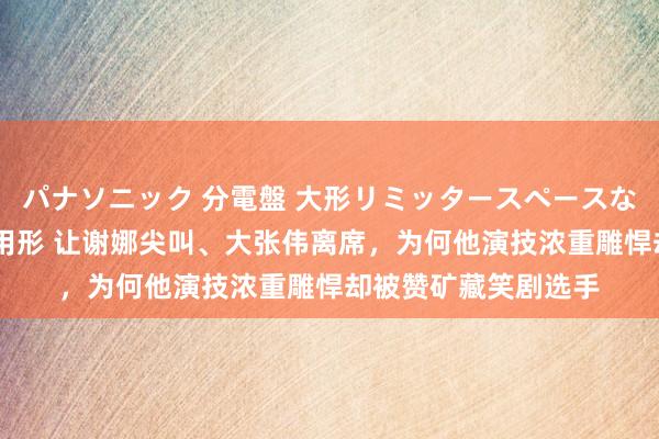 パナソニック 分電盤 大形リミッタースペースなし 露出・半埋込両用形 让谢娜尖叫、大张伟离席，为何他演技浓重雕悍却被赞矿藏笑剧选手