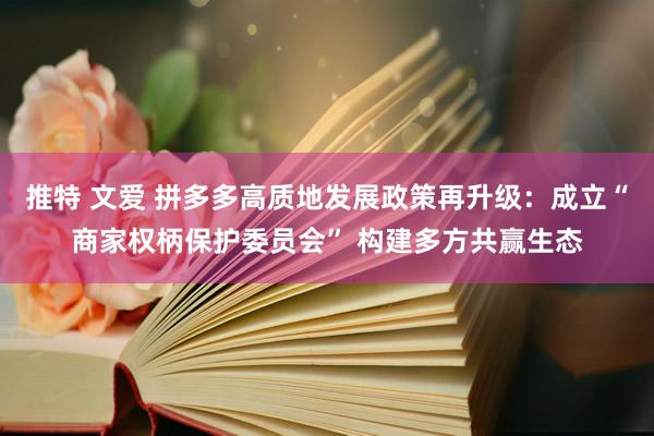 推特 文爱 拼多多高质地发展政策再升级：成立“商家权柄保护委员会” 构建多方共赢生态