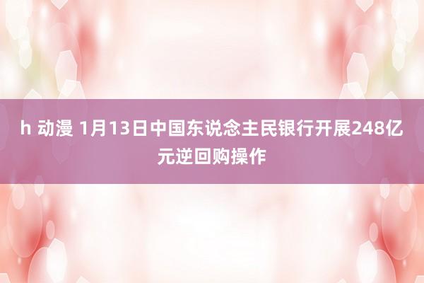 h 动漫 1月13日中国东说念主民银行开展248亿元逆回购操作