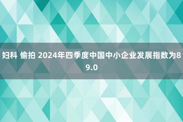 妇科 偷拍 2024年四季度中国中小企业发展指数为89.0