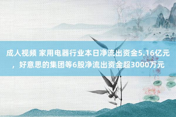 成人视频 家用电器行业本日净流出资金5.16亿元，好意思的集团等6股净流出资金超3000万元