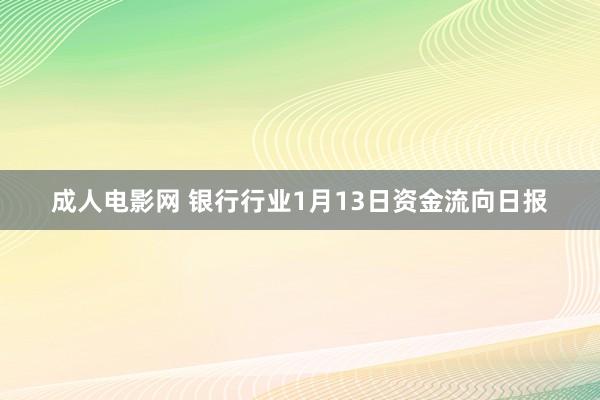 成人电影网 银行行业1月13日资金流向日报